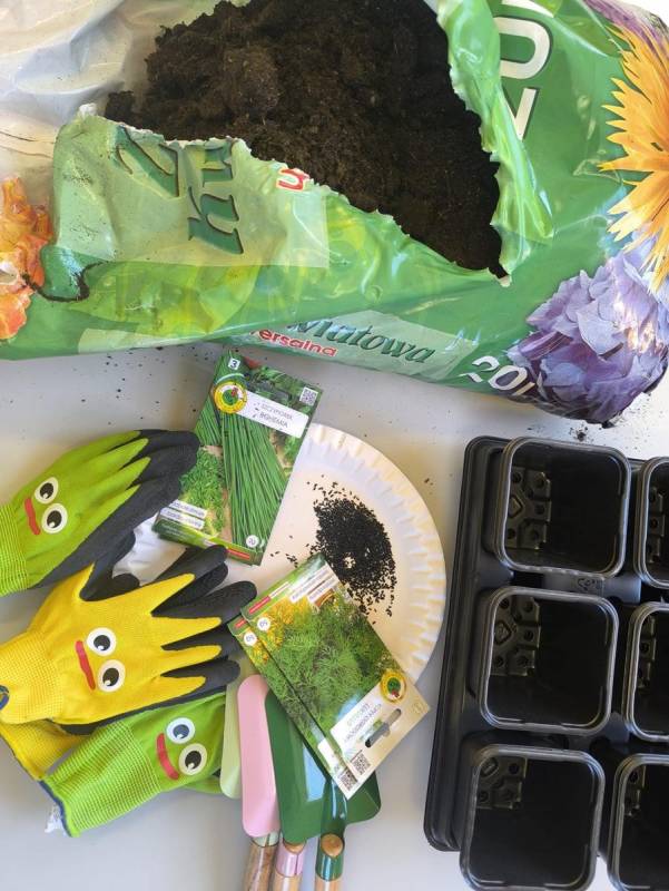 Pszczółki - Zielony ogródek