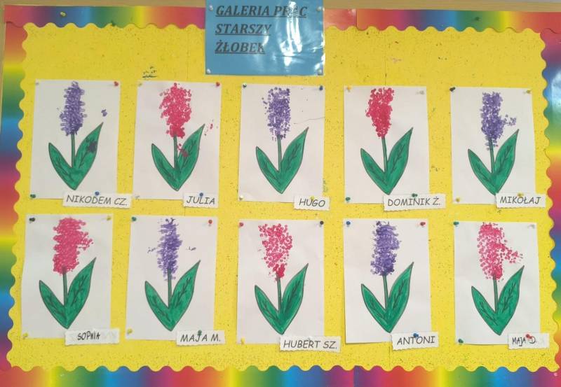 Pszczółki - Wiosenny hiacynt