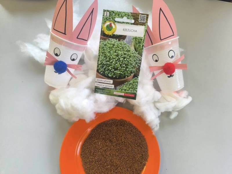 Pszczółki - Siejemy rzeżuche