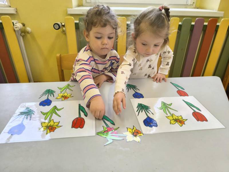 Pszczółki - Wiosenne sekwencje