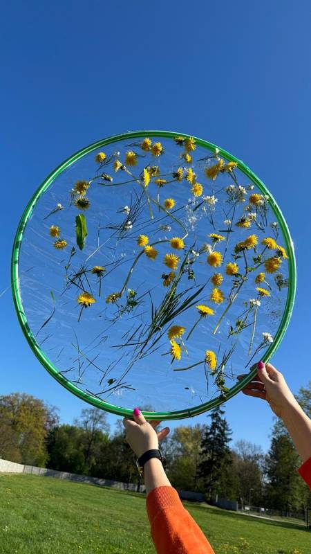 Pszczółki - Wiosenny witraż