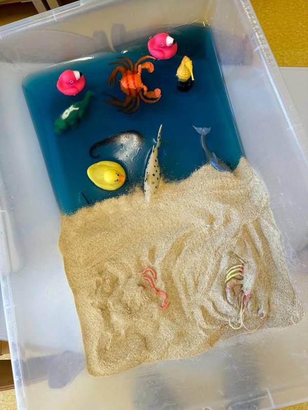 Pszczółki - Sensoryczna plaża